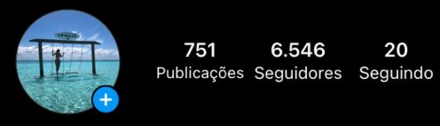 Perfil antes